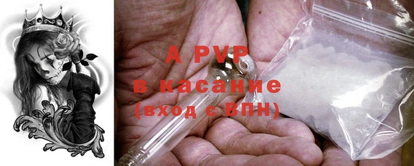 СК Балахна