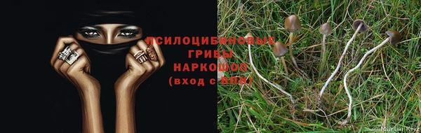 молекула духа Балабаново