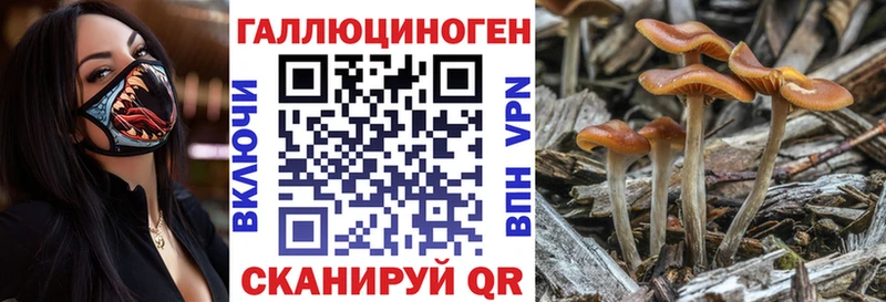 Псилоцибиновые грибы мицелий  Галич 