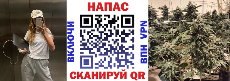 Бошки марихуана White Widow  что такое   Галич 